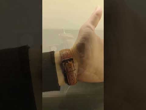Gianni Bulgari - Enigma 115203s